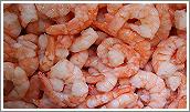 Pink shrimps jumbo