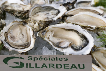 Hollow oysters Nb 3 - <br/>Speciales GILLARDEAU
