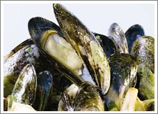 Spanish Mussels