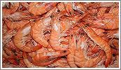 Cooked shrimps 40/60